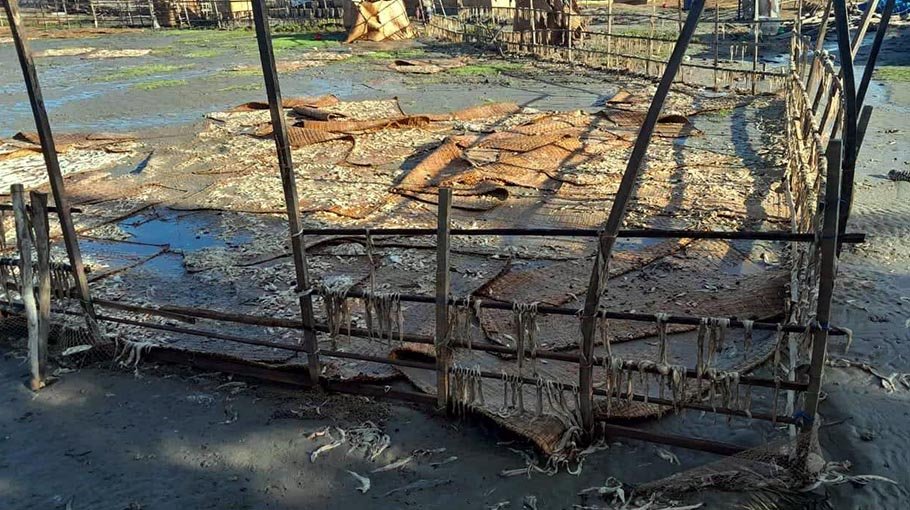 Dry fish farmers facing huge loss in Sarankhola