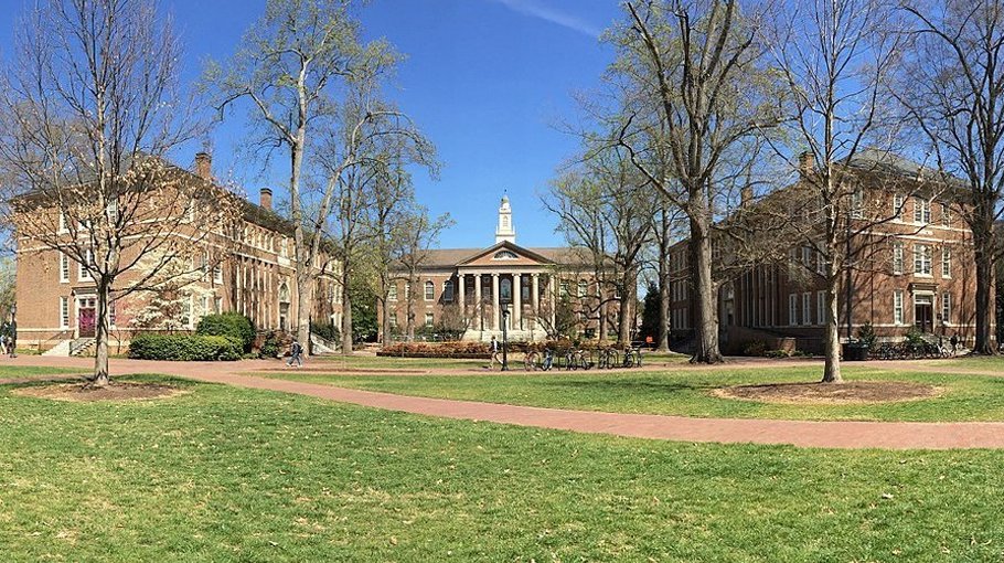 Destroying the university to save it