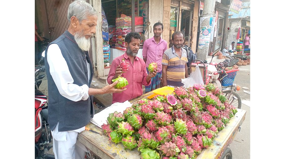 “Pesticide use in dragon  farming poses health risk”