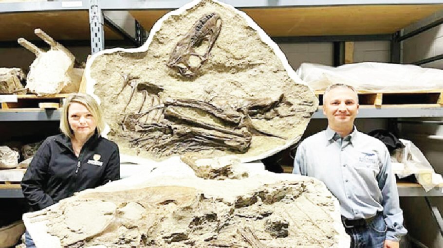 ‘Appetite for drumsticks’: First prey found in a tyrannosaur stomach