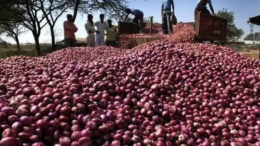 Onion prices coming down