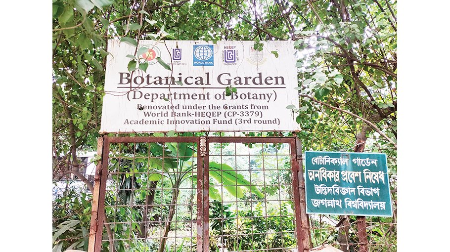 JnU botanical garden becomes lung of campus