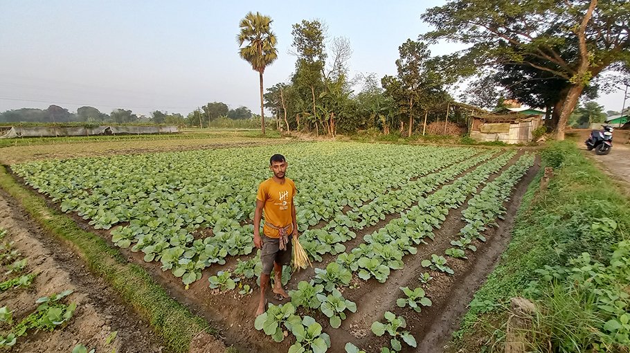 Farmers  busy cultivating winter vegetables in Raozan