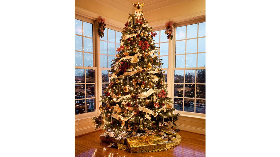 Sacred Tree or Tree of Paradise? Nature and the Christmas Tree