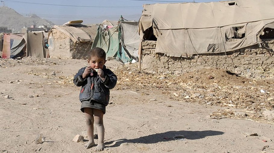 Where will the world find refuge in 2024?