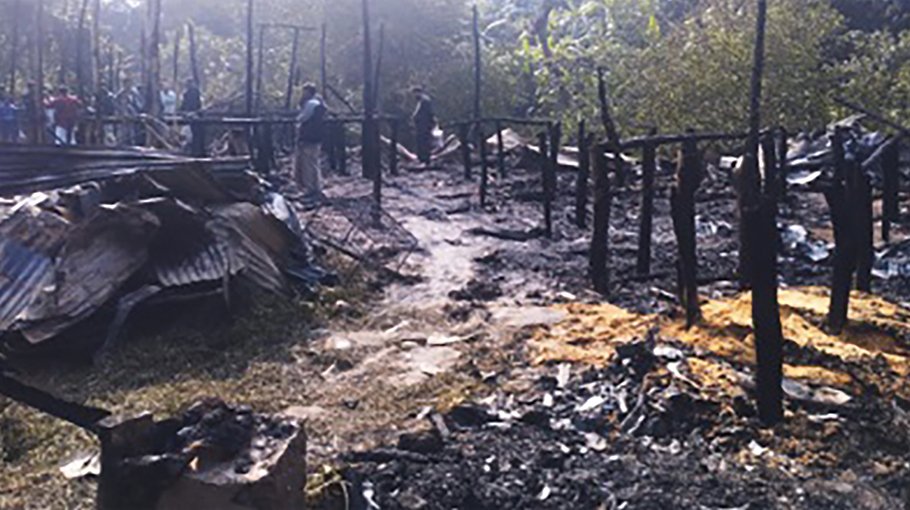 Fire at poultry farm in Ctg, 1,200 chickens burnt 