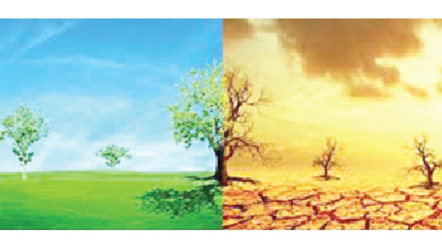 Climate change, global conflict threaten food security