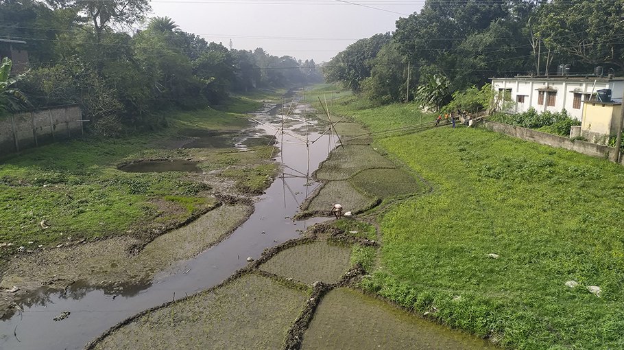 Chalan Beel under threat