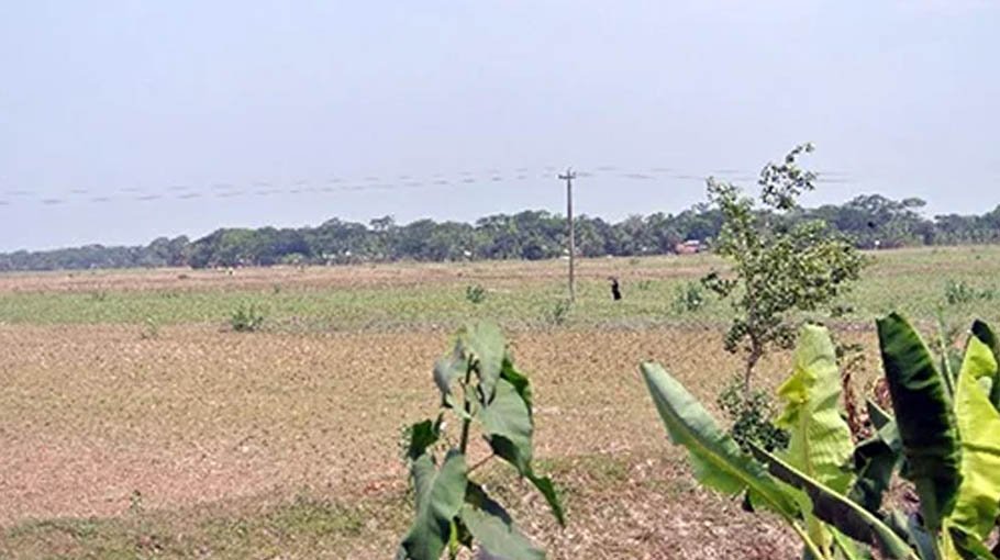 50-day action plan to bring fallow  lands under cultivation stressed