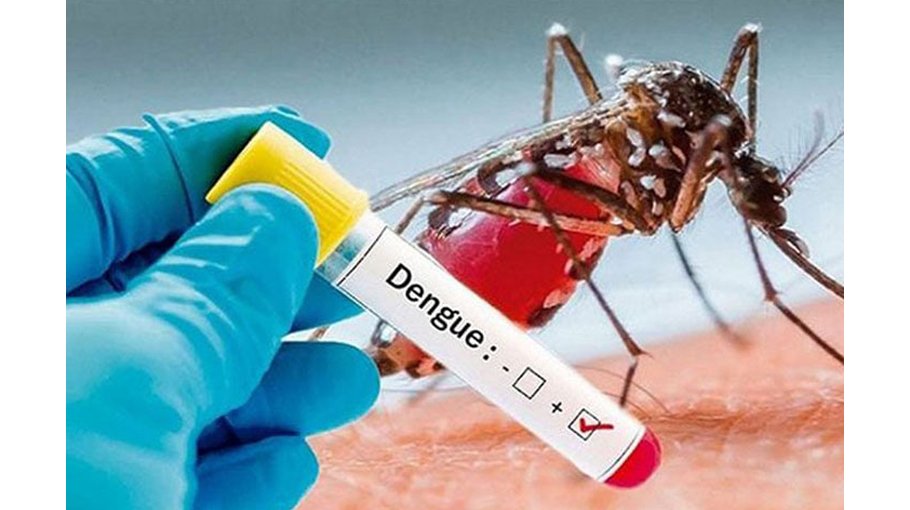 One more dies of dengue; 10   hospitalised