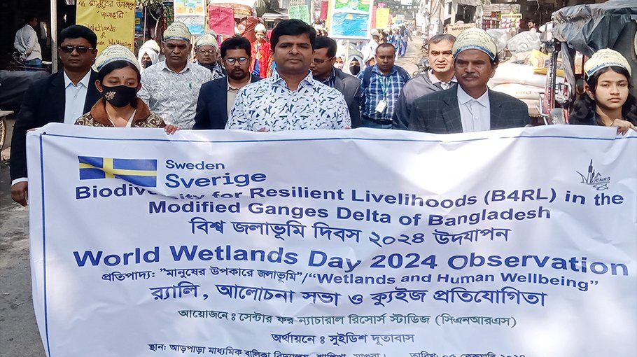 Call for protection of wetlands  