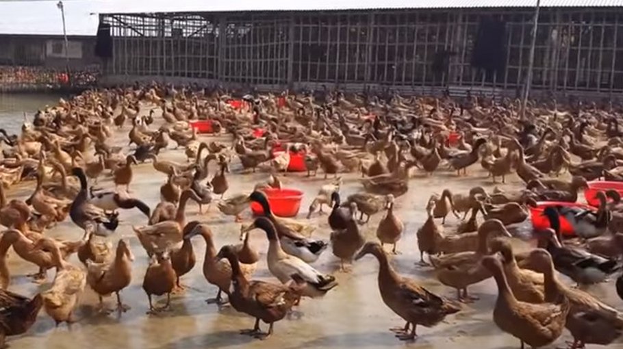 Tale of a successful entrepreneur 