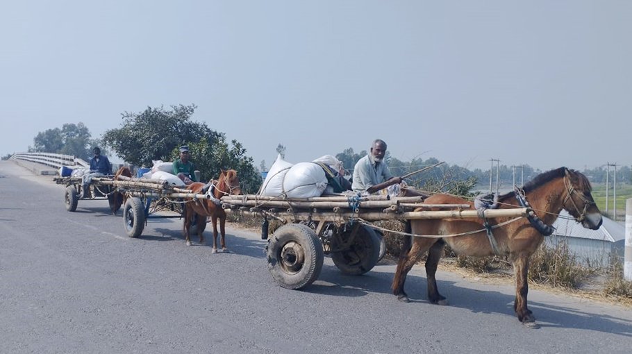 30 Chatmohar families’ livelihoods  depend on horse-drawn cart