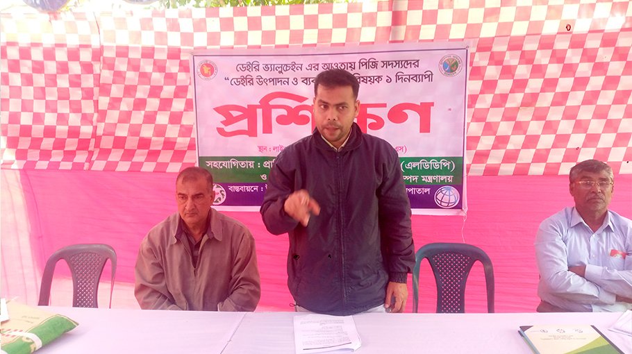 Training on diary production, management  held in Jhenaidah