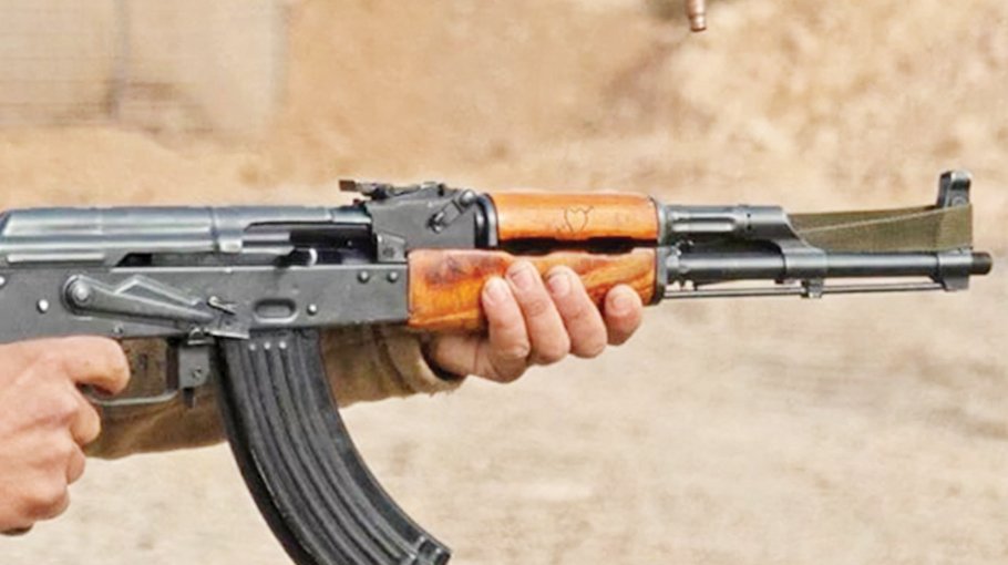 Man shoots dead 12 kin in Iran: state media