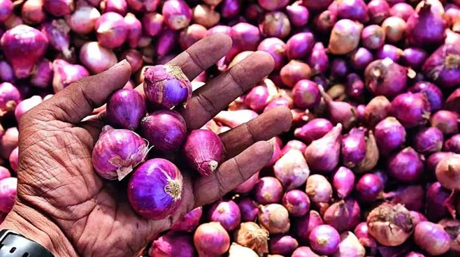 India allows export of onions to Bangladesh 