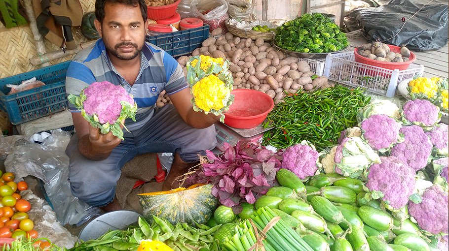 Colour cauliflower farming a boon to Jhenaidah farmers 