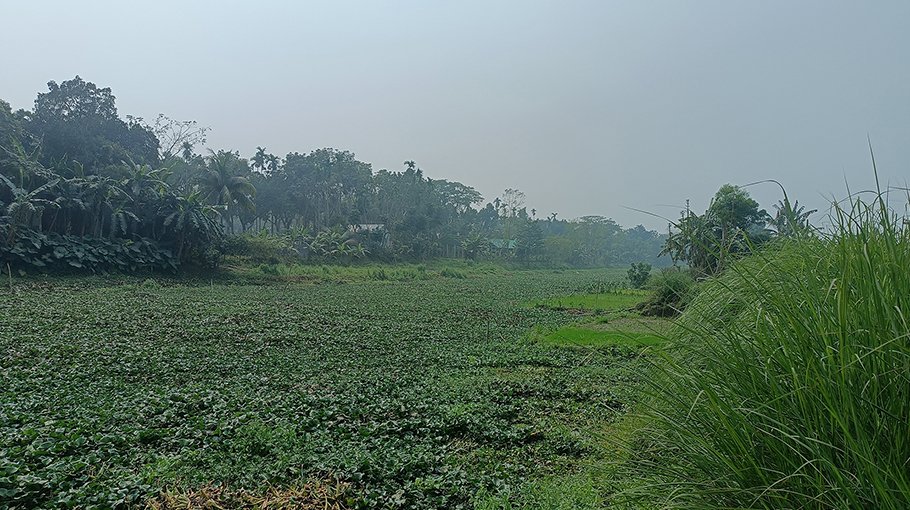 Encroachment, pollution put  Narasunda river in death throes 