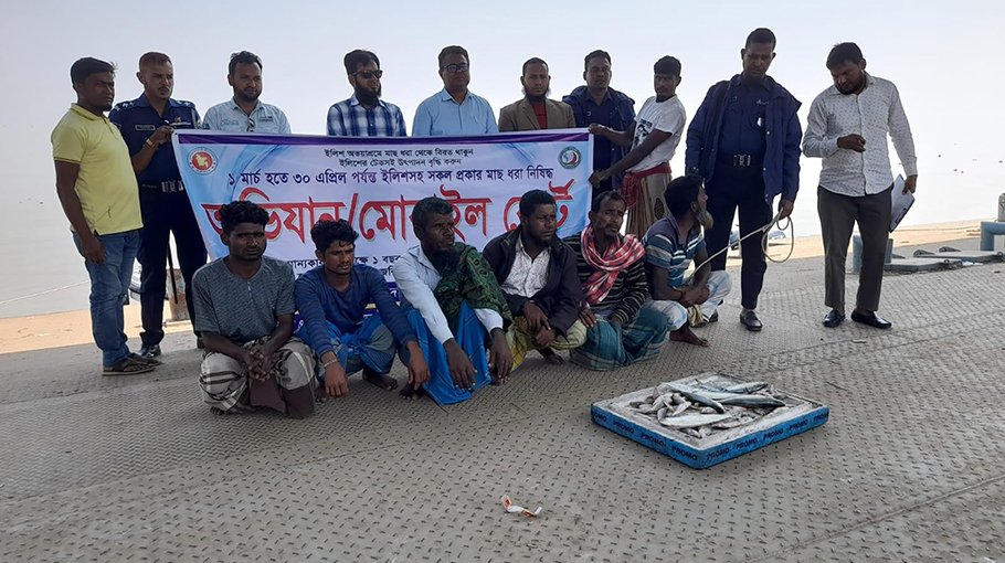 8 fishermen held for for catching jatka in Bhola