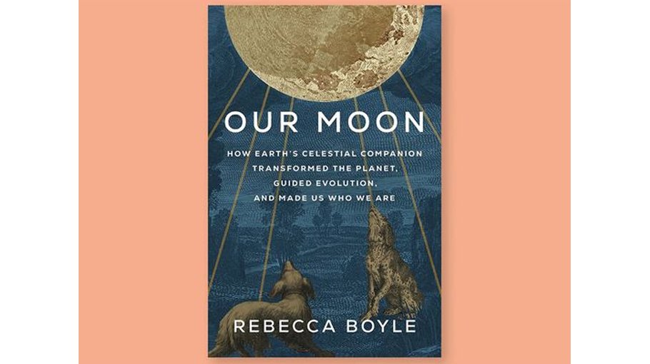‘Our Moon’ explores the influence  of earth’s cosmic neighbour