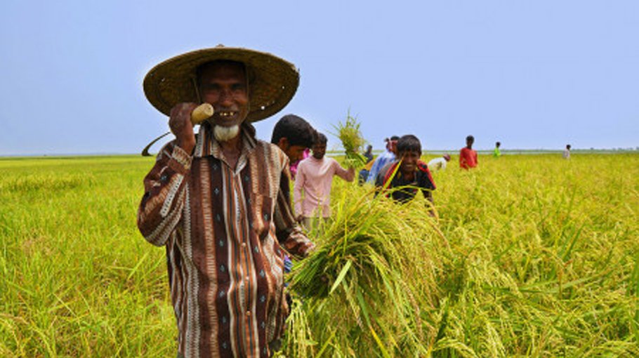 Target reaches 60.64pc in 7 months of FY2023-24: BB