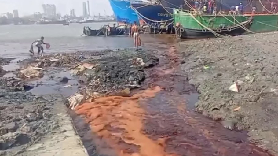 Burnt sugar effluents kill Karnaphuli fishes