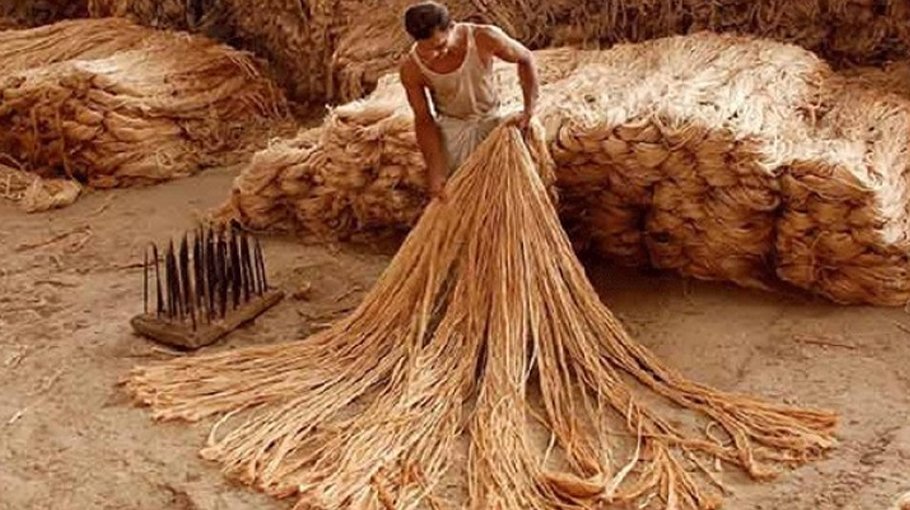 Nat’l Jute Day observed