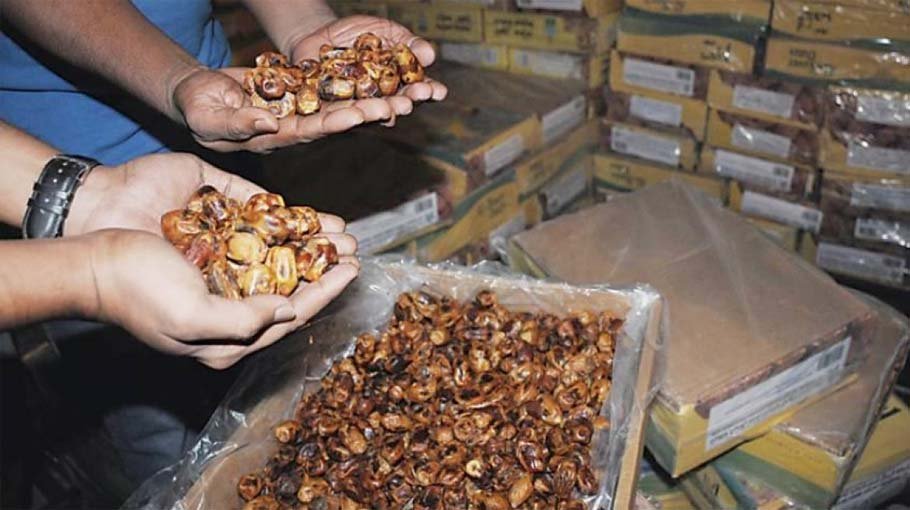 100 mts dates found in cold storage