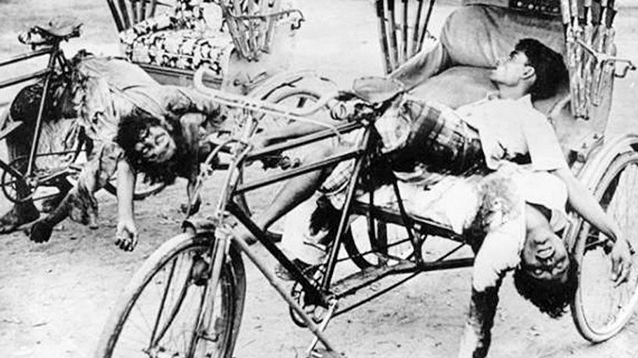 Nation recalls blood-curdling ’71-Genocide 