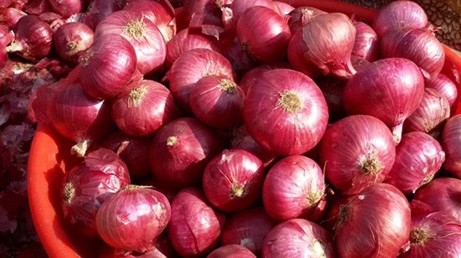 Govt to import 50,000 mts of onion from India