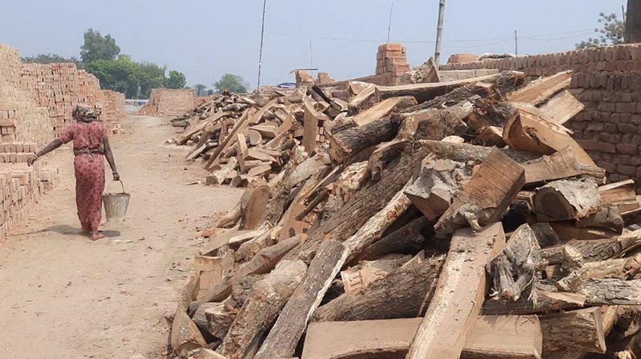 Mushroom growth of illegal brick kilns in Harinakundu