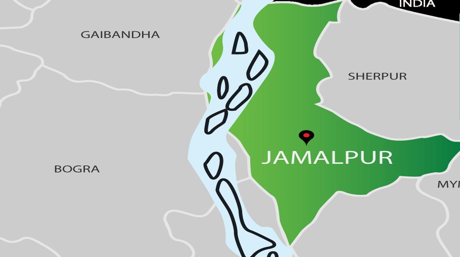 Modernisation of Jamalpur Public Library stressed