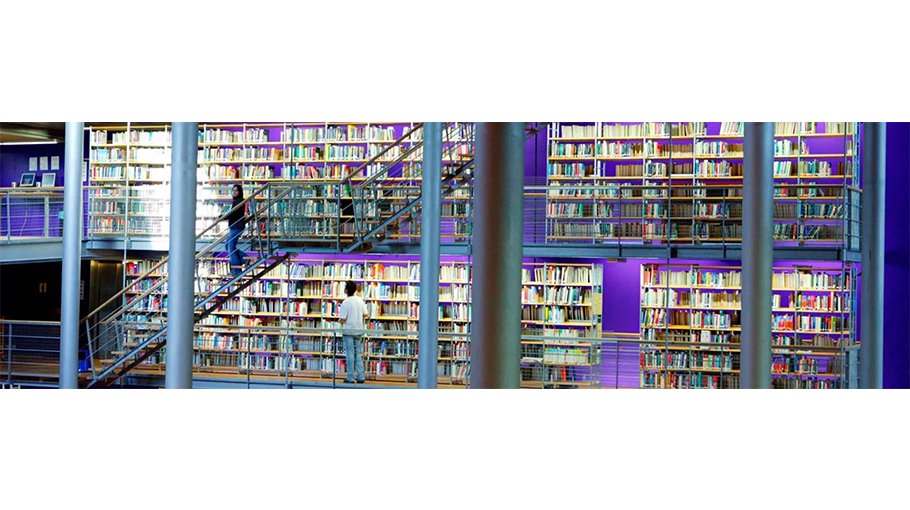 Netherlands offers OKP scholarships to int’l  students