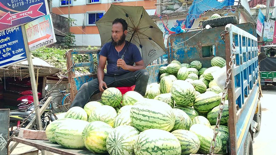 Sales of watermelon decline in Mirzaganj  