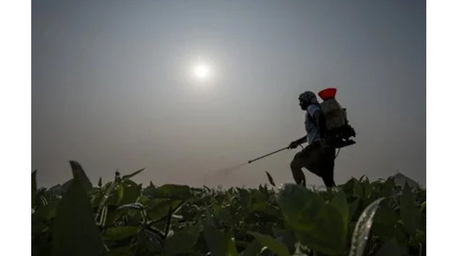 Farmers in India hit hard by extreme weather 