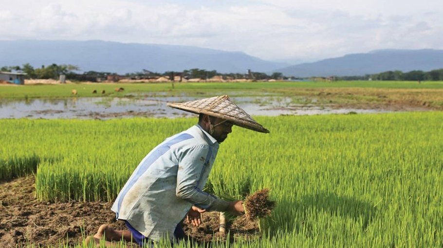 Bangladesh earmarks Tk 385b for agriculture, aiming at 10% annual growth by 2026
