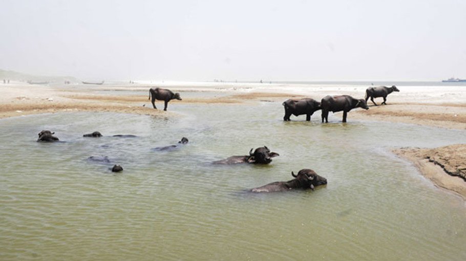 Barind farmers worried about heatwave, drought