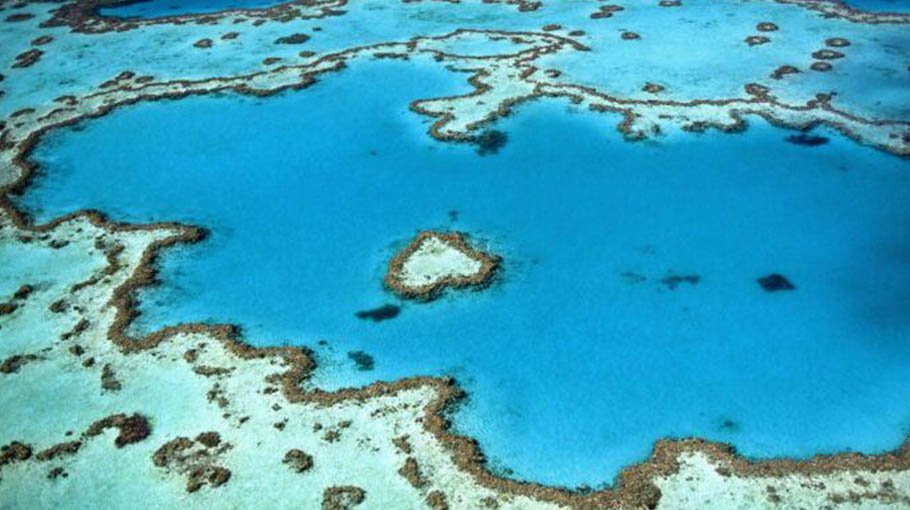 Ocean heat pummels the great barrier reef, again