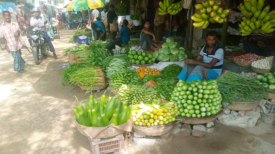 Extreme heat hampers veg farming in Jhenaidah