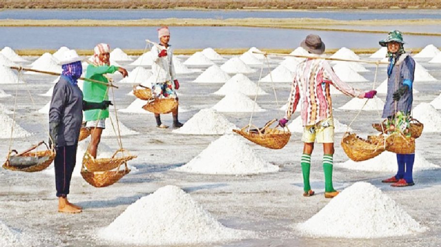 Salt production hits all-time high  