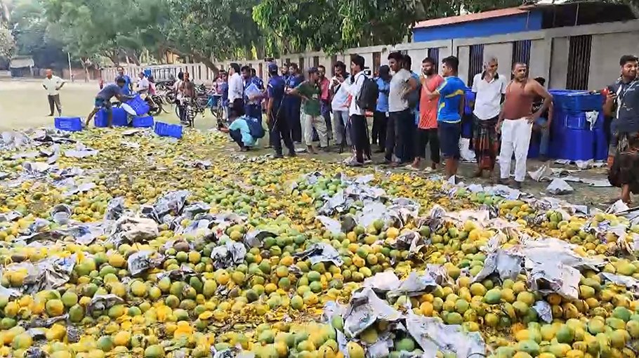 9 tonnes of mango ripened with chemicals destroyed  in Satkhira
