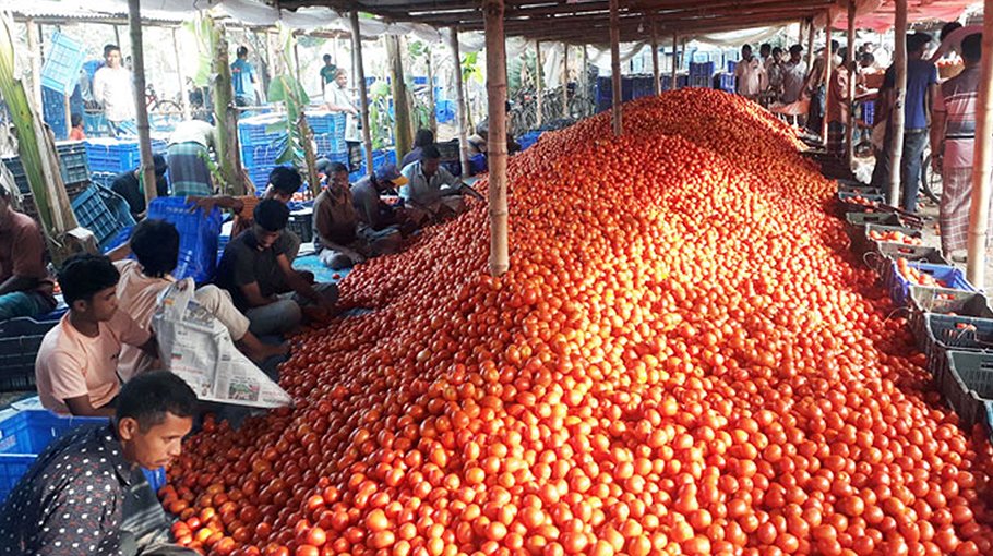 Low price frustrates growers