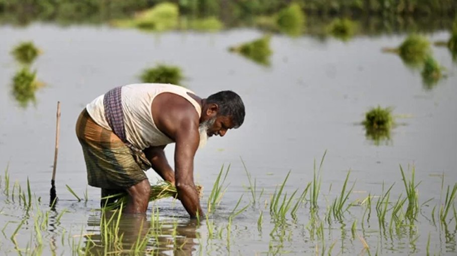 Govt provides Khulna farmers with agri machinery