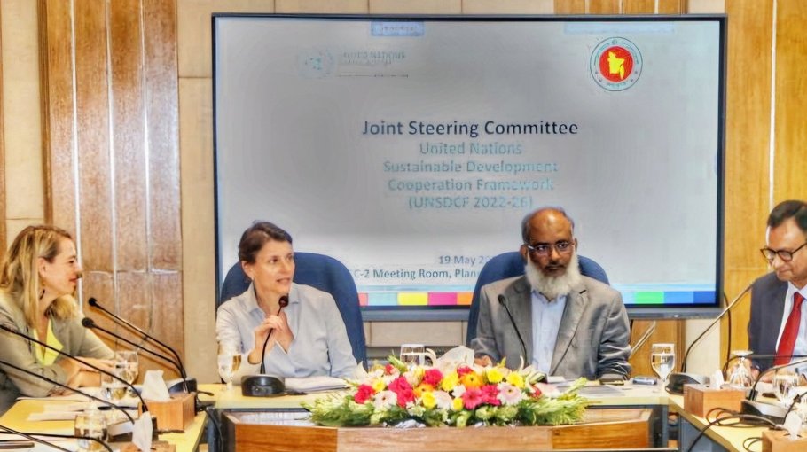 UN country team holds JSC meeting with ERD