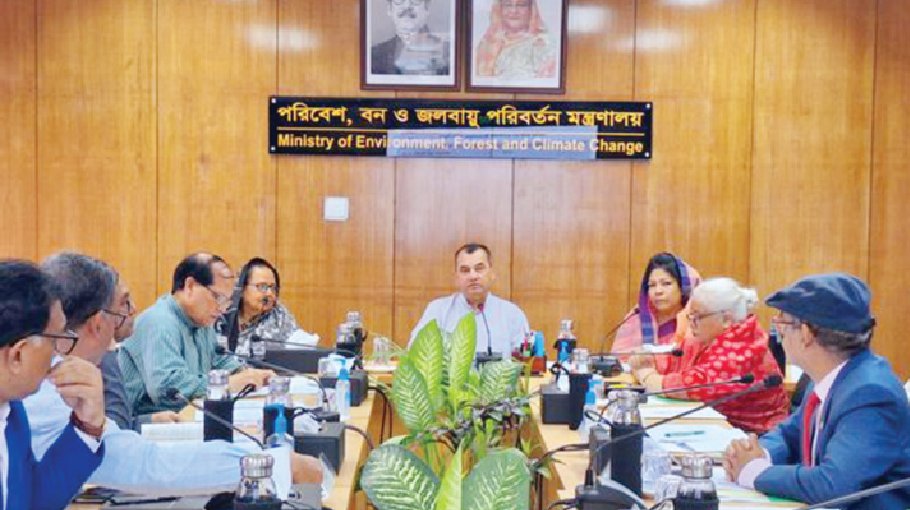 Research activities for tree conservation to be strengthened: Saber