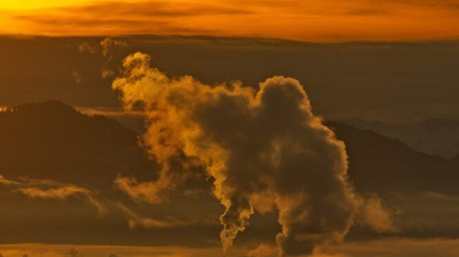 Deadly heat in a political jungle