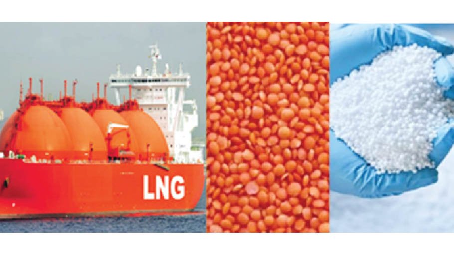 Govt to procure 1 cargo LNG, 1 lakh MTs fertilizer, 6,000 MTs lentil