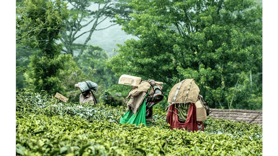 Migrating workers provide wealth for the world