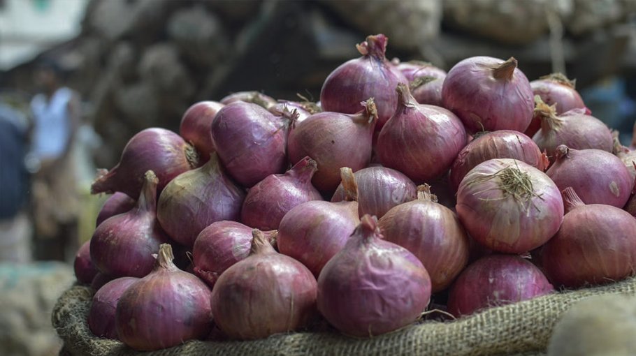 600 Kaliganj farmers get stimuli for   summer onion, T-Aman