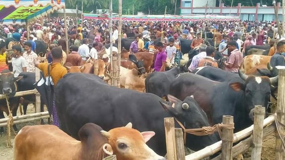157 cattle markets set up in Khulna